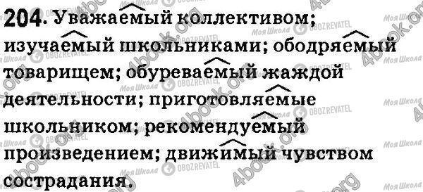 ГДЗ Російська мова 7 клас сторінка 204